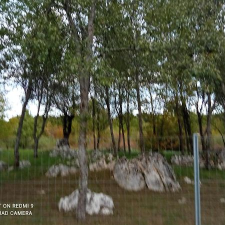 Apartman Deda Rakovica Luaran gambar