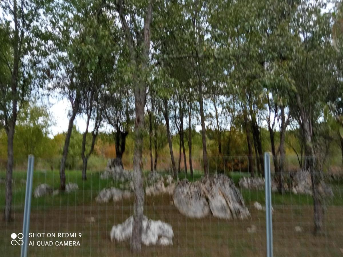 Apartman Deda Rakovica Luaran gambar